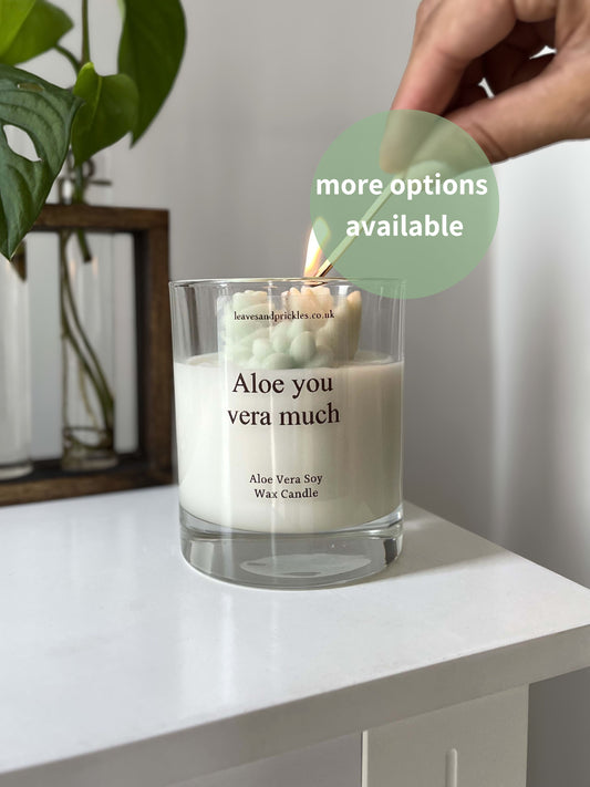 funny cacti and succulents terrarium candle in glass jar 