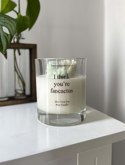 funny cacti and succulents terrarium candle in glass jar 