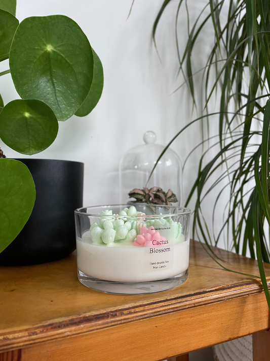 handmade pink and green terrarium cactus candle
