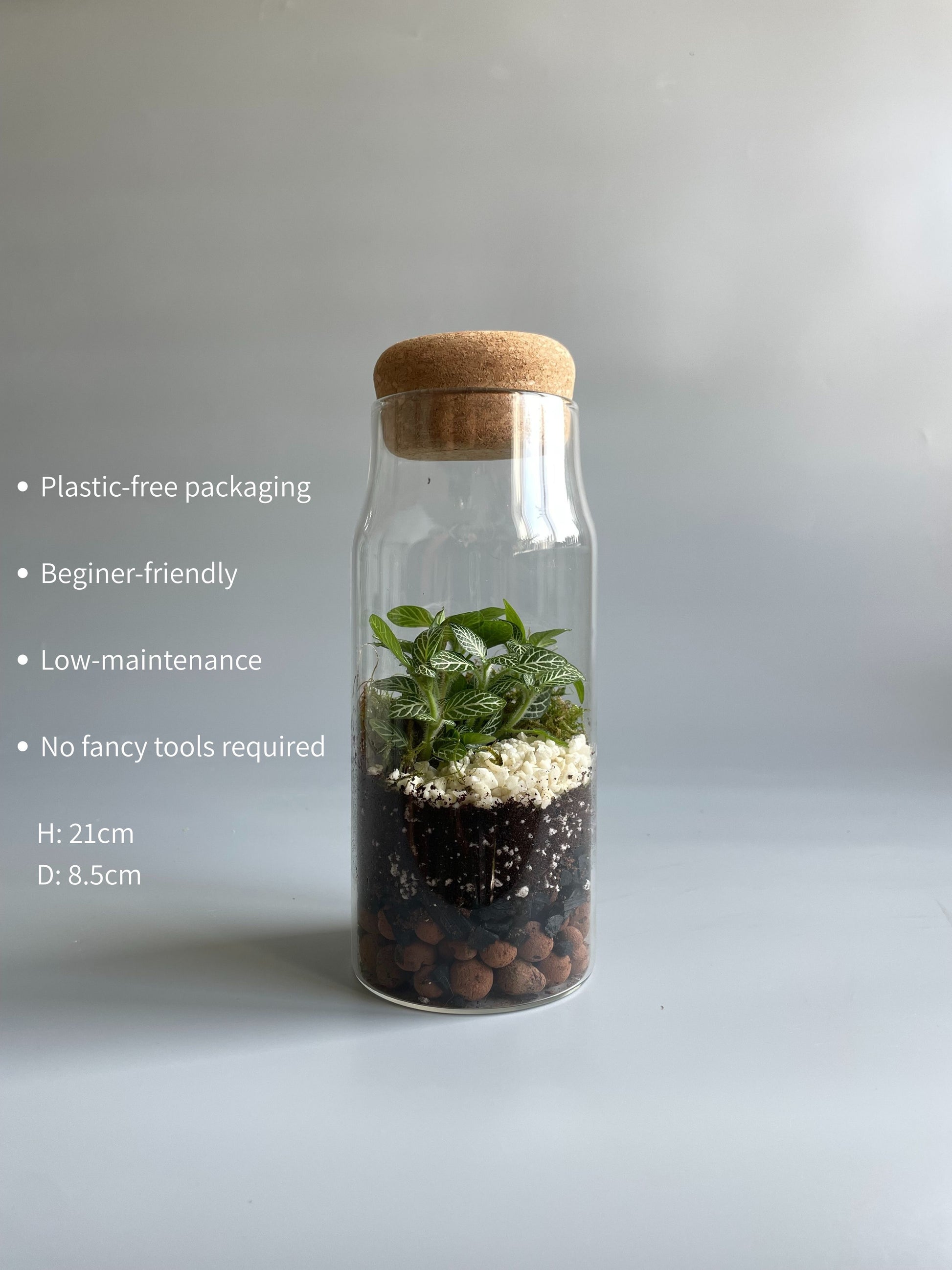 Glass bottle with cork lid containing a small terrarium on a light gray background