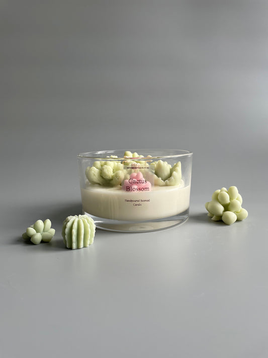 large cacti and succulents terrarium candle pink and green 