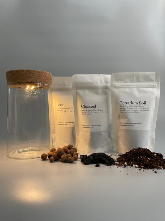 light up terrarium kit with jar and terrarium soil