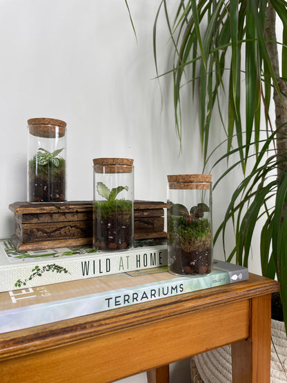 Mini terrarium 
