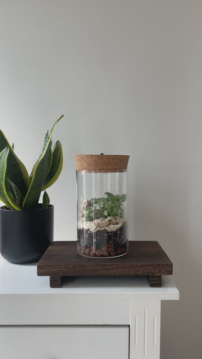 Light-Up Terrarium Workshop Manchester - Sunday 29th March | 3pm – 4pm