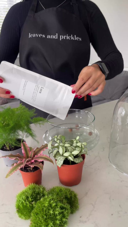 DIY Glass Dome Terrarium Kit - H: 25cm D: 18cm