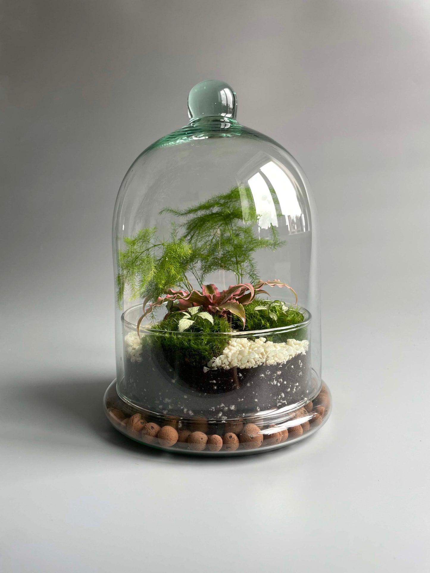 ready made glass dome terrarium with plants