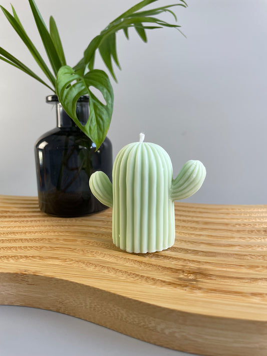 small decorative cactus candle 
