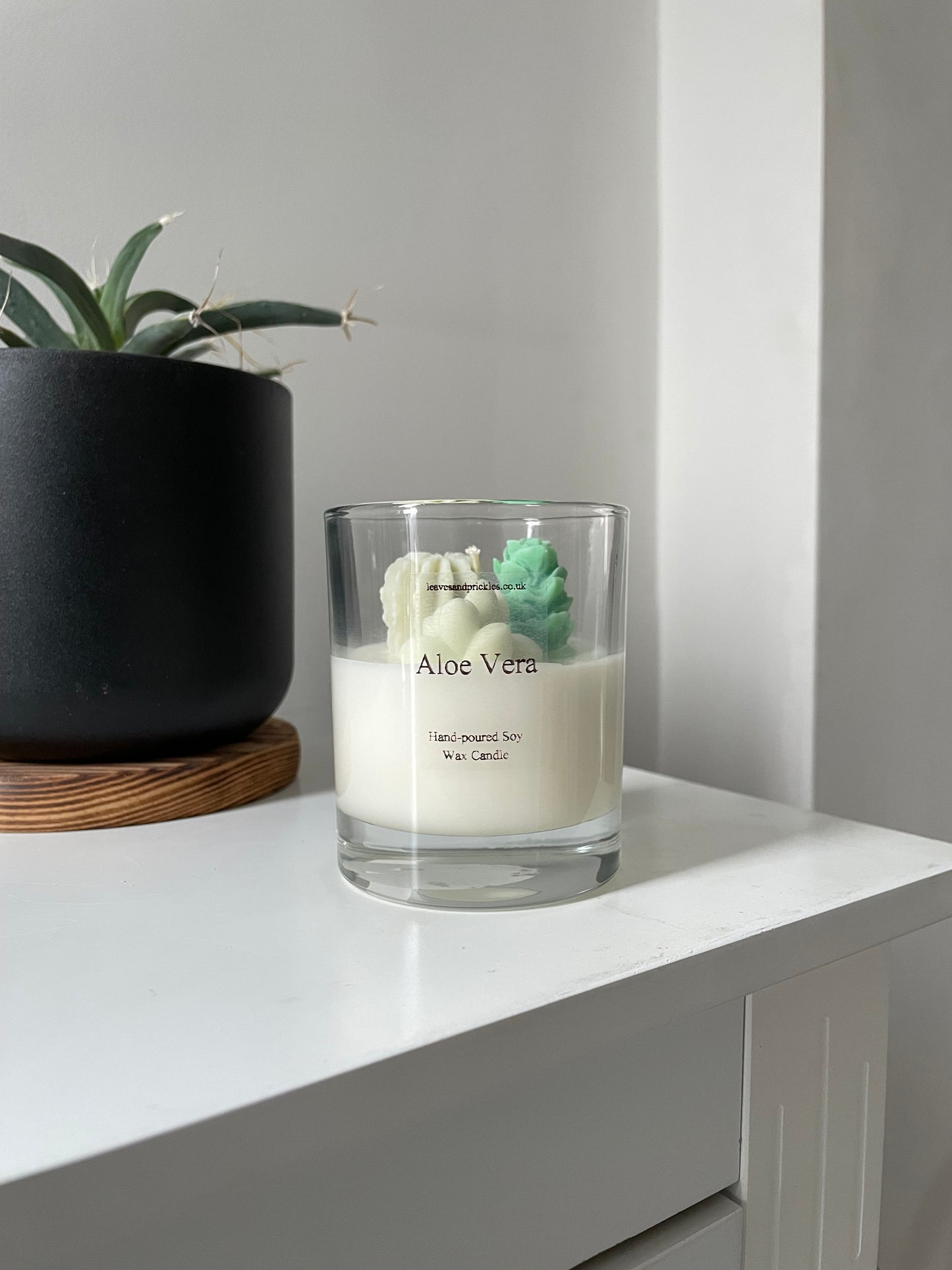 small terrarium cactus candle aloe vera scent scent