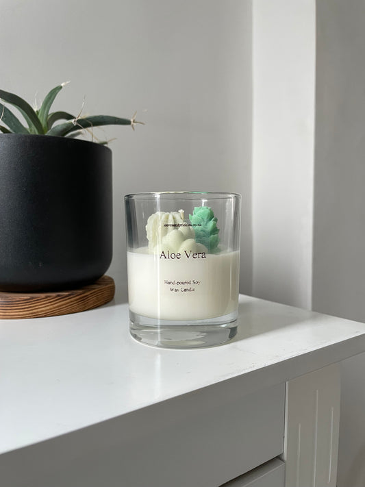 small terrarium cactus candle aloe vera scent scent