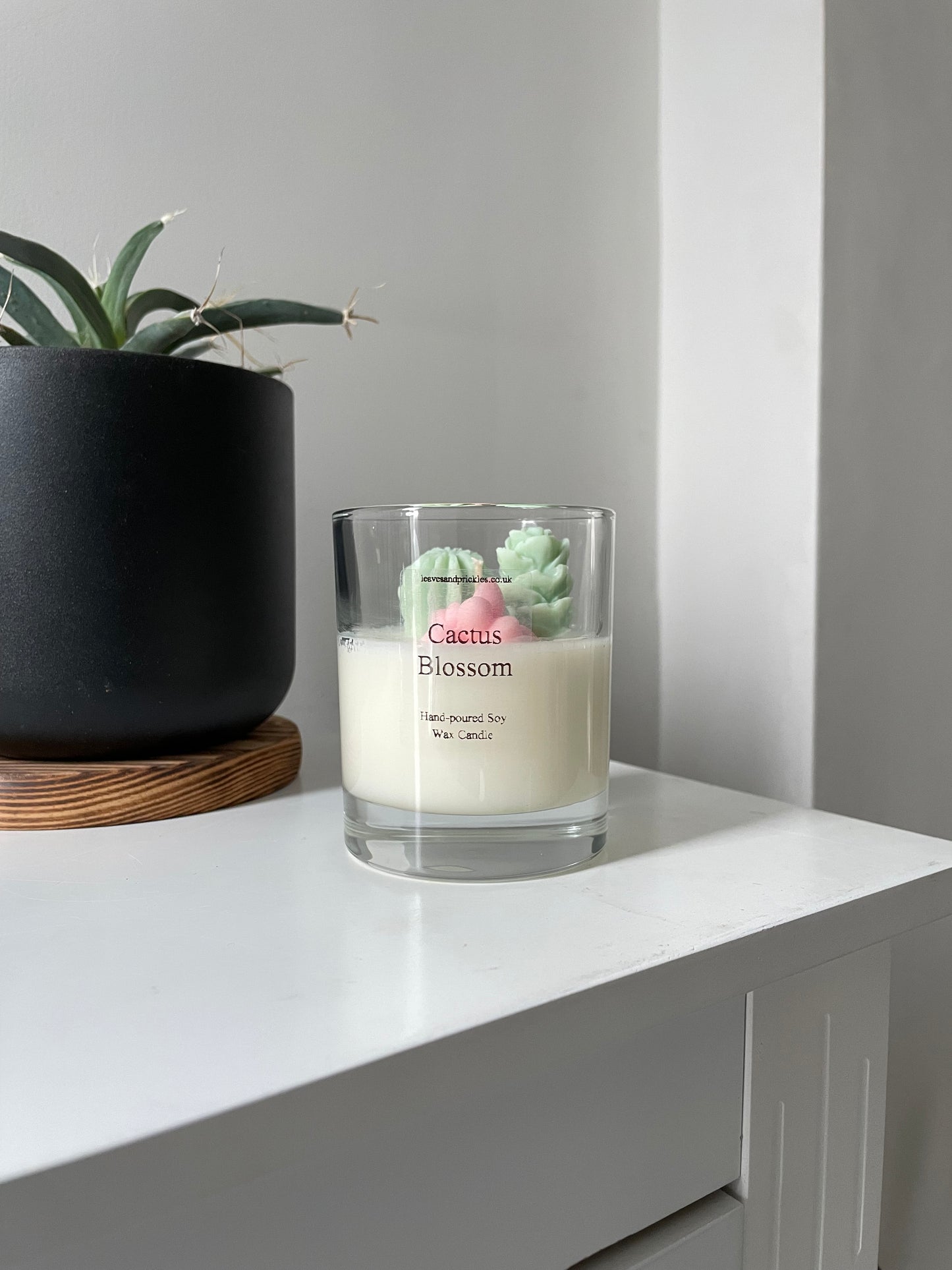 small terrarium cactus candle cactus blossom scent