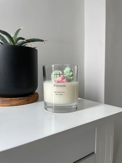small terrarium cactus candle cactus blossom scent