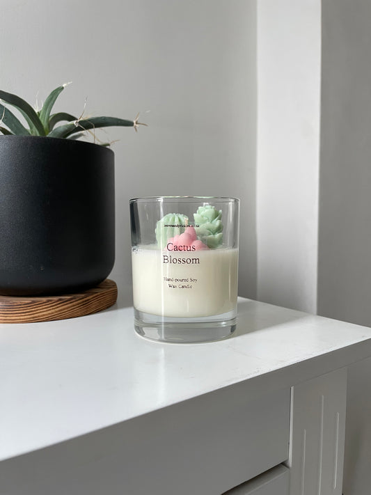 small terrarium cactus candle cactus blossom scent
