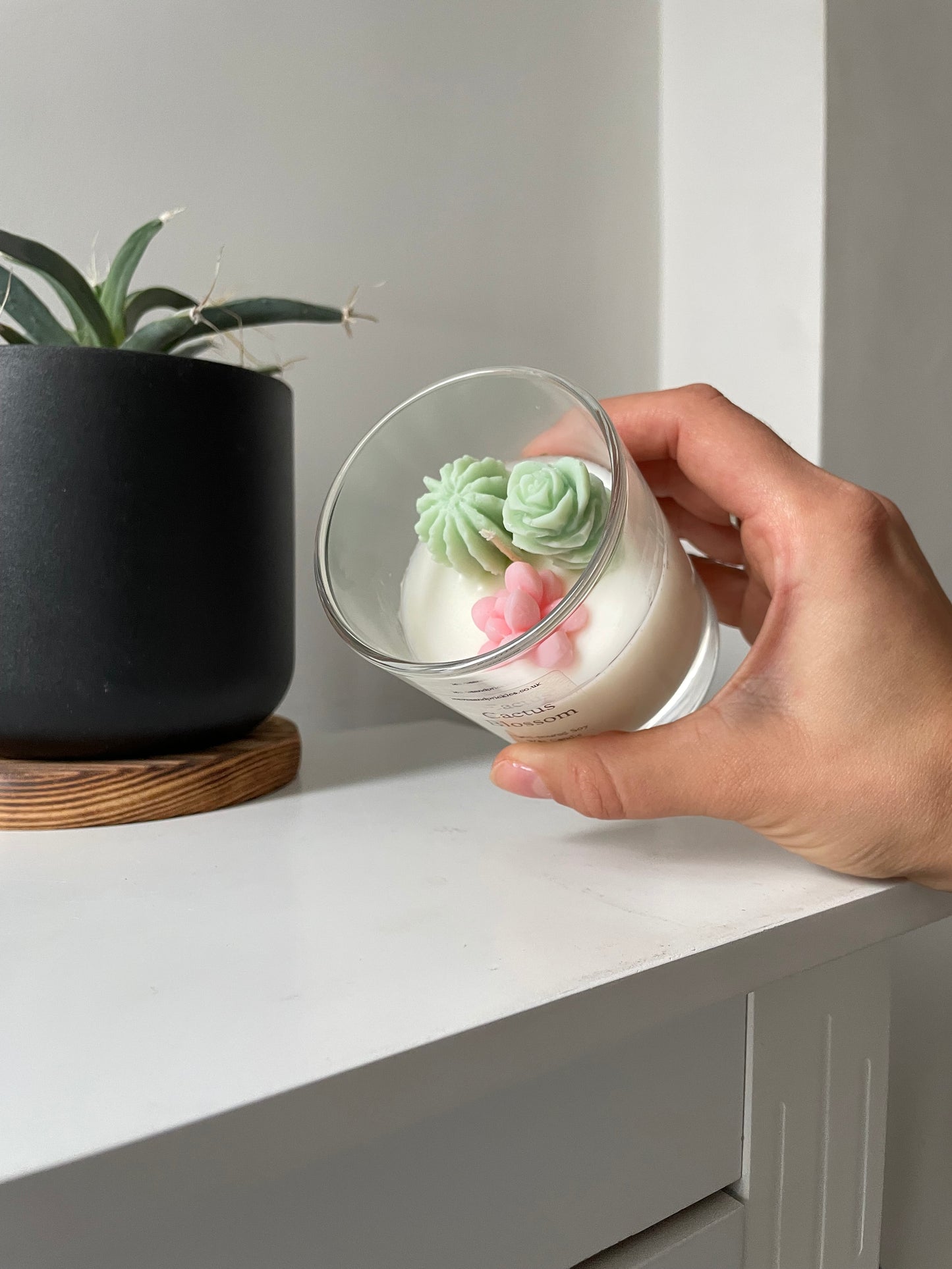 small terrarium cactus candle cactus blossom scent