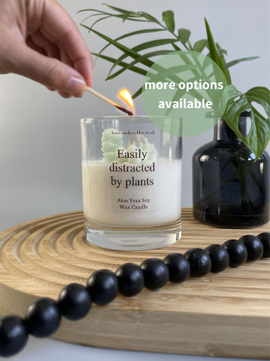 terrarium cactus candle gift for plant lovers