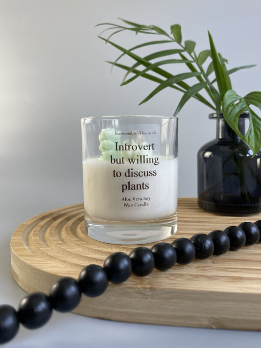 terrarium cactus candle gift for plant lovers