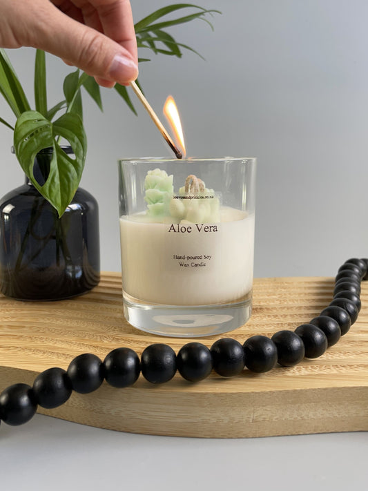 terrarium cactus candle green