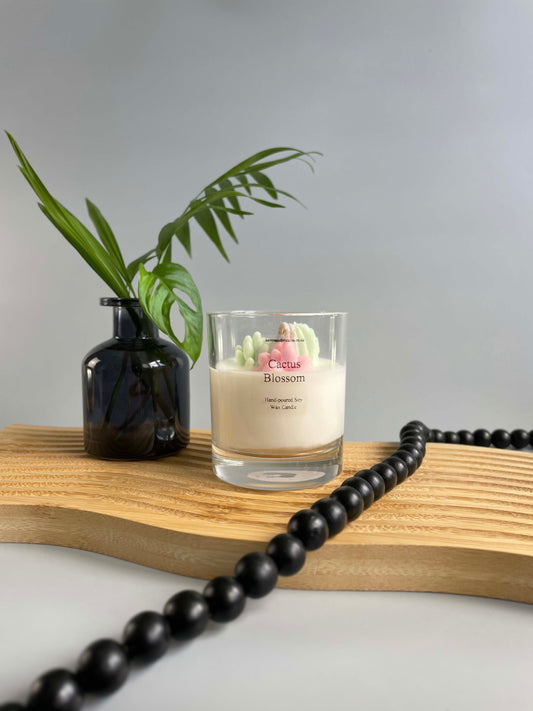 terrarium cactus candle pink and green 
