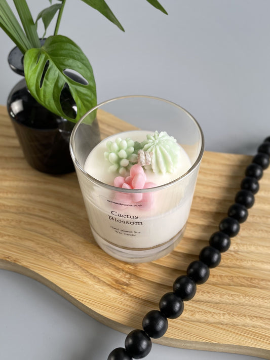 terrarium cactus candle pink and green 