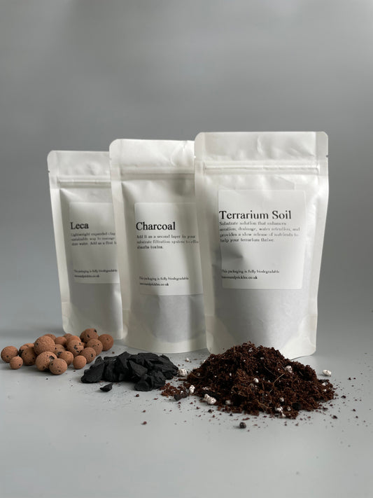 terrarium soil 