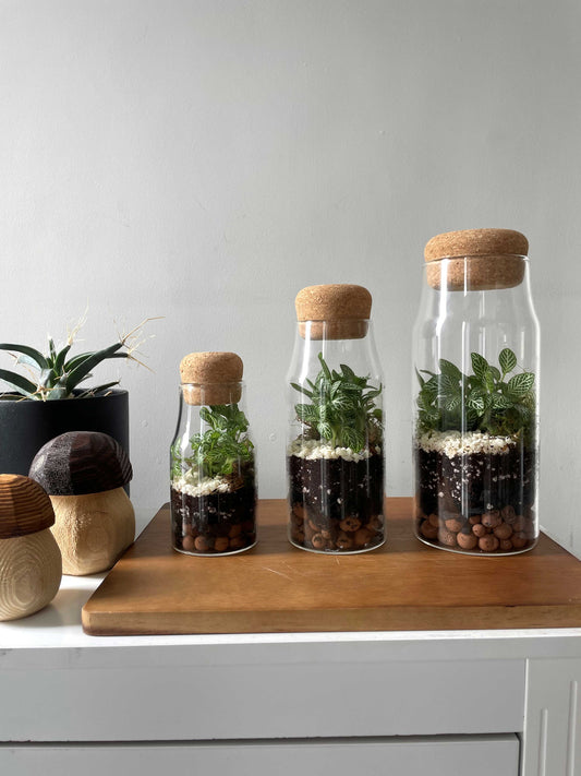 Bottle Terrarium Kit Bundle - S/M/L